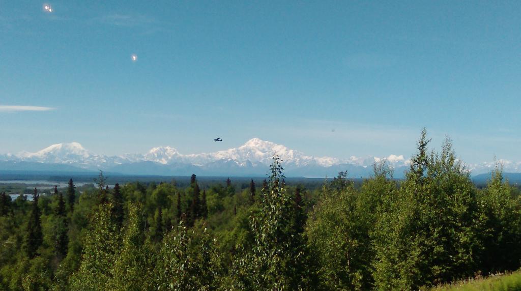 Talkeetna Love-Lee Cabins Hotel Exterior foto