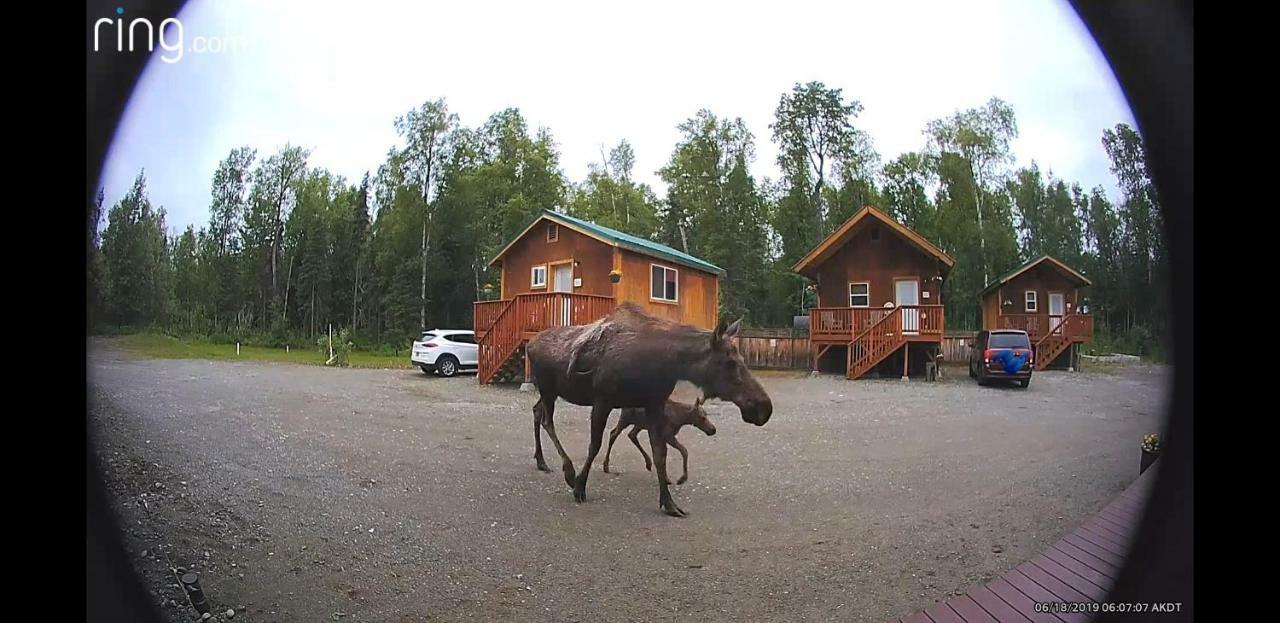 Talkeetna Love-Lee Cabins Hotel Exterior foto